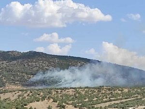 Dicle ilçesi kırsalında orman yangını çıktı