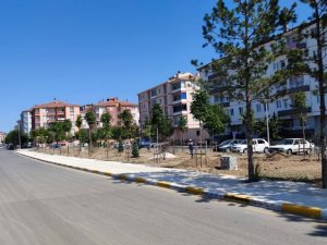 Çorum Belediyesi kenti yeşillendiriyor