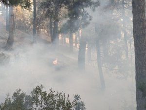 Tavas’taki yangın kısmen kontrol altına alındı