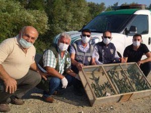 Operasyonda ele geçirilen 120 adet saka kuşu doğaya salındı