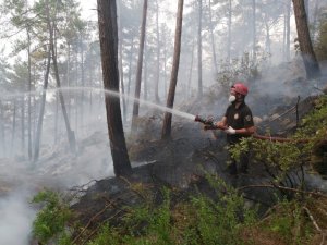 Kartal Belediyesi ekiplerinin orman yangınları ile mücadelesi sürüyor