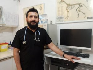 Kene yapışmasının önüne birkaç önlemle geçilebilir