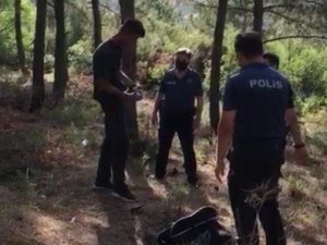 Orman yangını şüphelisi, başka bir ormanda yine tiner şişesiyle yakalandı