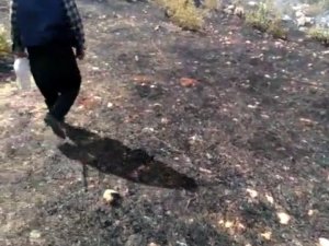 Dicle kırsalında çıkan örtü yangını söndürüldü