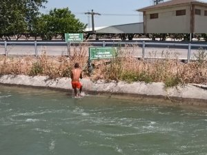 Tehlikeye balıklama atlayış
