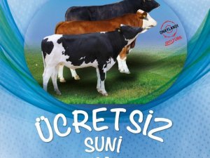 Ankara Büyükşehir Belediyesinden büyükbaş hayvan üreticilerine ücretsiz suni tohumlama desteği