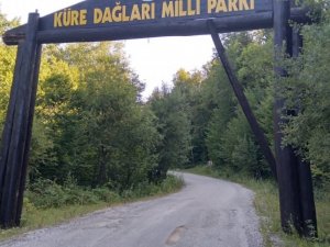 Küre Dağları Milli Parkı girişindeki ahşap levha tehlike saçıyor