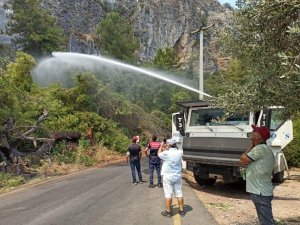Türkiye alevlere karşı tek yürek oldu