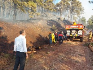 Pamukkale her an teyakkuzda