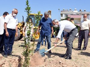 Başkan Bozdoğan’dan çağrı: “Yangına dayanaklı ağaç türlerini dikelim”