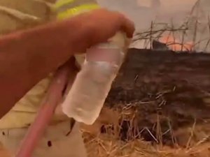 Su içmeyi reddedip orman yangınına kahramanca müdahale etti