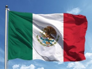 Meksika hükümeti, ABD’li silah şirketlerine kaçakçılık nedeniyle dava açtı