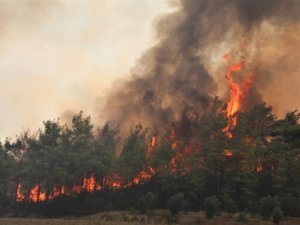 Orman yangınları ile mücadele eden Antalya’ya yağmur müjdesi
