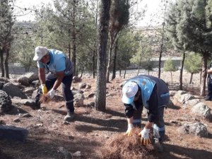 Belediye ekipleri yangınlara karşı ormanda temizlik yaptı