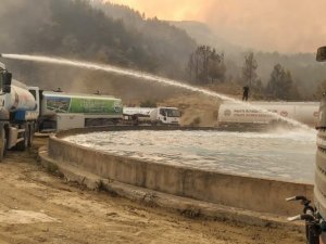 Bilecik itfaiyesi yangın bölgesinde mücadeleye devam ediyor