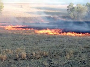 Anız yakanlara dekar başına 80 TL ceza kesilecek