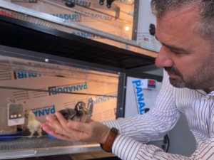 Pursaklar Belediyesi tarafından ’Kuluçka ve Ana Kucağı Tesisi’ hayata geçirildi