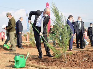 Dulkadiroğlu’nun nüfusu kadar fidan dikilecek