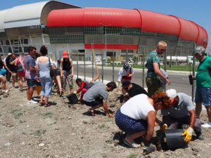 Hatay’da misafir müzisyenler fidanları toprakla buluşturdu