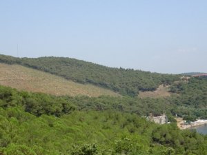 Heybeliada’da 1 yıl önce yangında kül olan alanın değişimi havadan görüntülendi