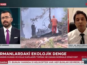 Kırdar: “Yanan alanlar doğal seleksiyona uygun şekilde yeniden yeşillendirilebilir”