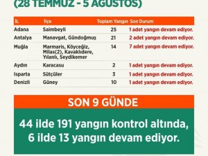 Tarım ve Orman Bakanı Pakdemirli, orman yangınlarına ilişkin son durumu paylaştı