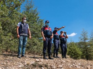 Altındağ’da orman nöbeti