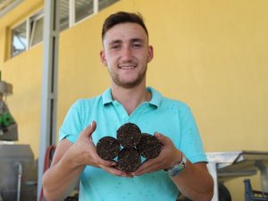 Bu kömür yandıktan sonra ne kül ne de toz bırakıyor