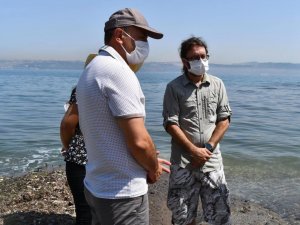 Hersek sahili tertemiz