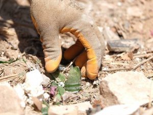 Didim’de yangın riskine karşı atıklar temizleniyor