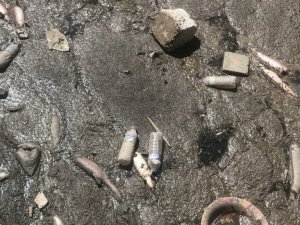 Kars Çayı’nda toplu balık ölümü