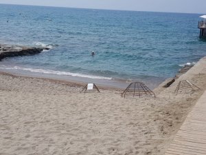 Alanya’da caretta carettalar denizle buluştu