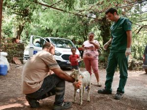 Kuşadası yangın bölgeleri için seferber oldu