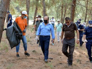 Aliağa’da orman temizliği devam ediyor