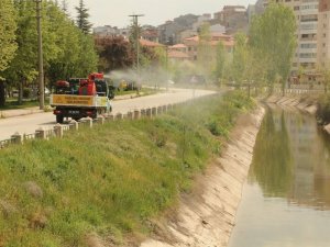 Odunpazarı’nda ilaçlama çalışmaları devam ediyor