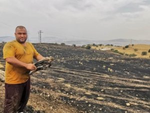 Şahin trafoya çarptı, yangın ormana sıçramadan söndürüldü