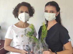 Fidan dikimine öncülük etti