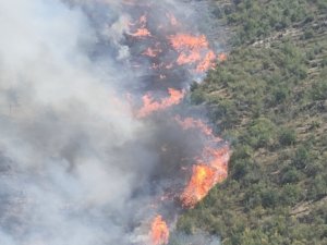 Karabük’te aynı alanda 2 orman yangını çıktı