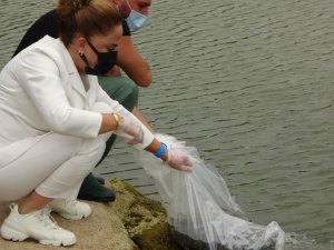 Uşak’ta 259 bin sazan göllere bırakıldı