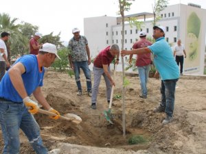 Koçarlı Millet Bahçesi’nde anlamlı etkinlik