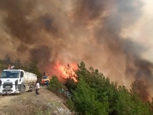 Karabük yangını rüzgarın etkisiyle ilerliyor