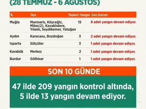 Tarım ve Orman Bakanı Pakdemirli, orman yangınlarına ilişkin son bilgileri paylaştı