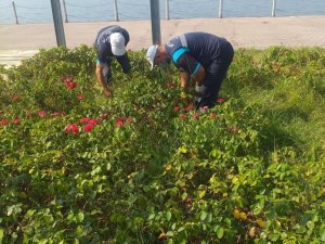 Mesire yerleri ve yeşil alanlarda temizlik çalışması