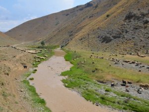 Kuraklık sonrası aşırı yağışlar sele neden oldu