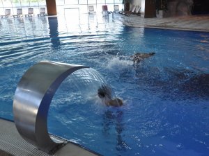 Pandemiyle birlikte Türkiye’de termal turizm alışkanlıkları da değişti