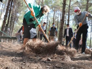 Vali ve Belediye Başkanı ormanı temizledi