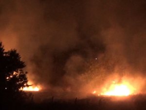 Ağaçlık alanda çıkan yangın kontrol altına alındı