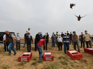 Tekirdağ’da ormanlara 400 keklik salındı