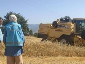 Hisarcık’ta biçerdöver ile hasat kontrolleri