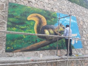 Çukurca ilçesine yapılan resimler göz kamaştırıyor